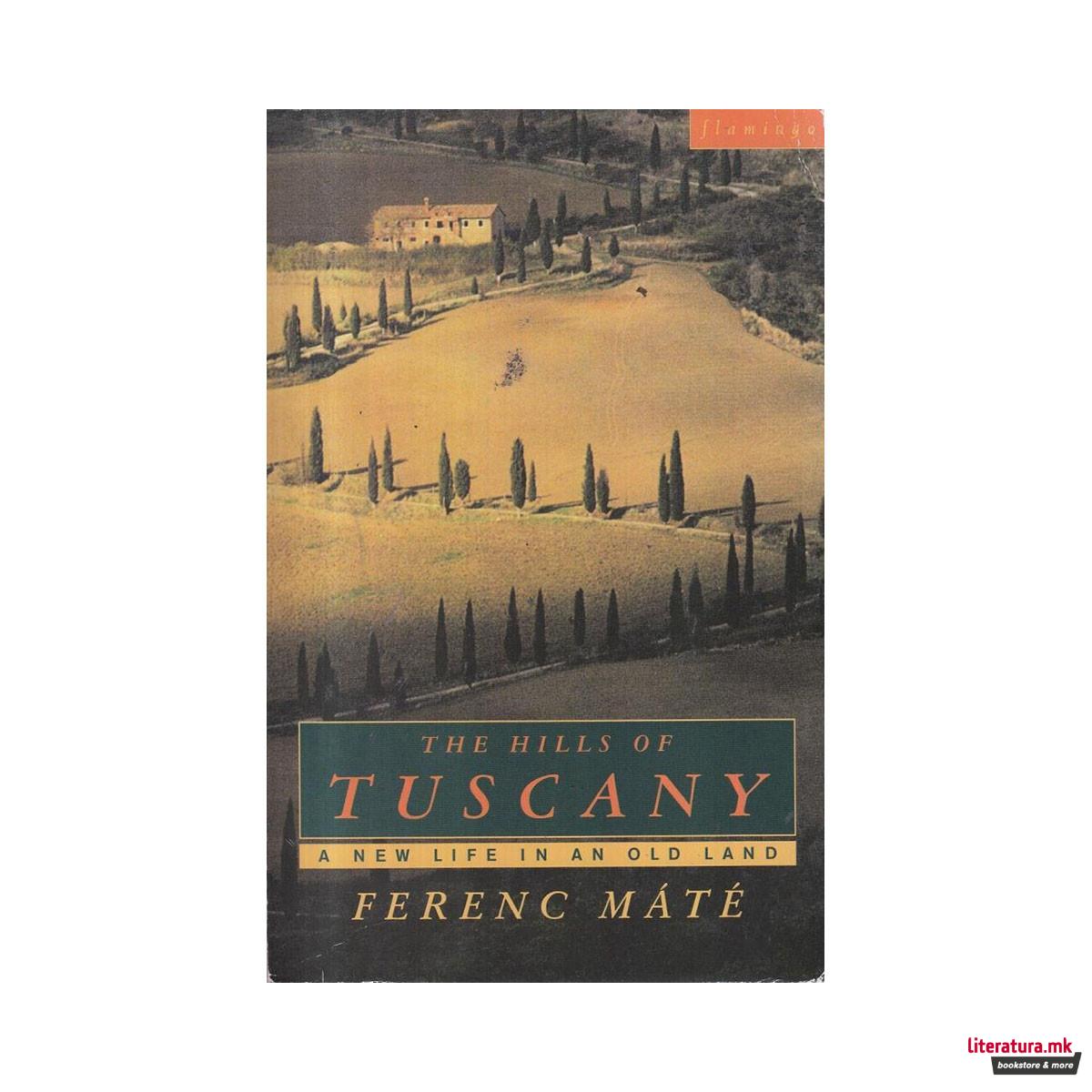 What's Inside?: A non-fiction picture book that takes a close-up look at what ca 