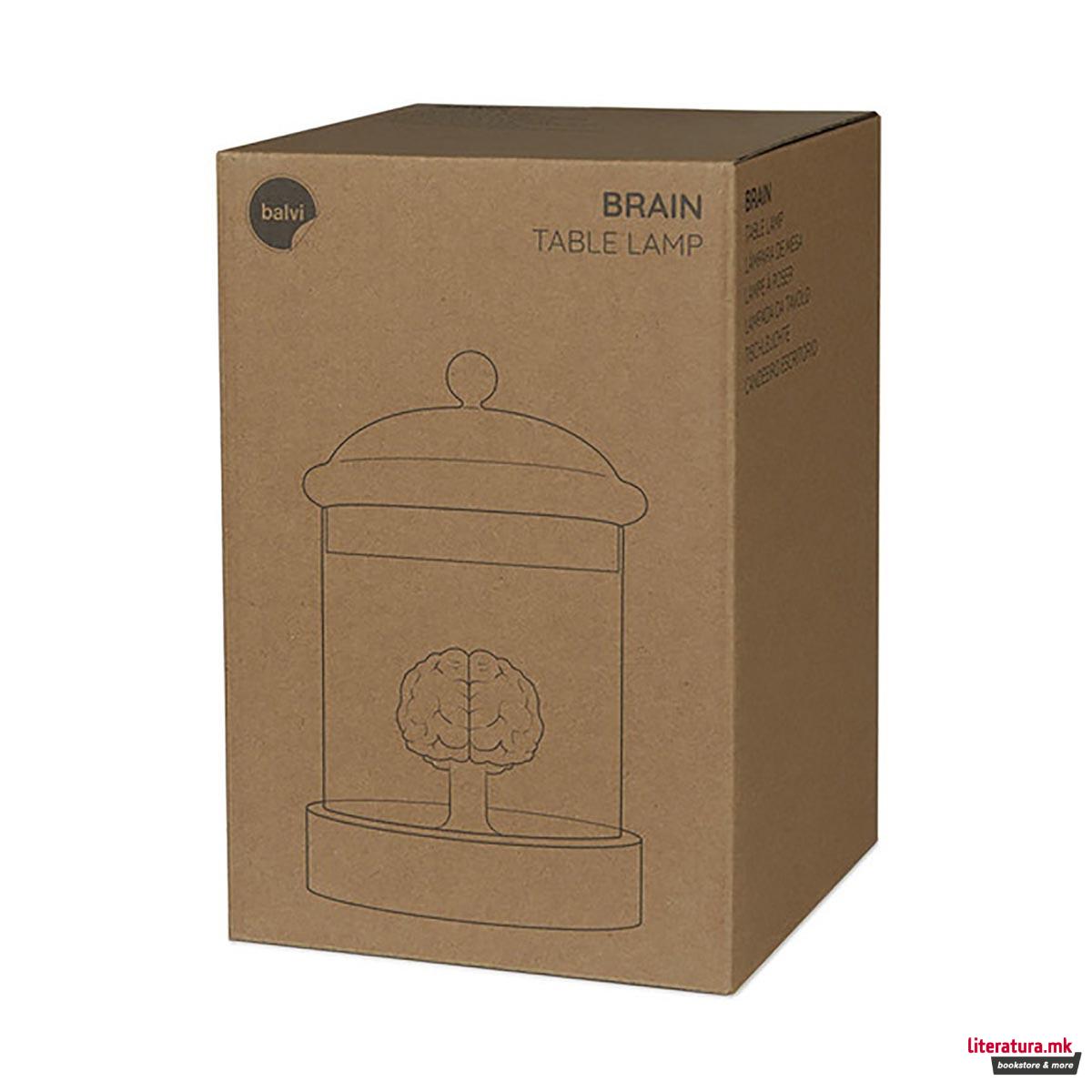 Столна ламба, Brain Glass 