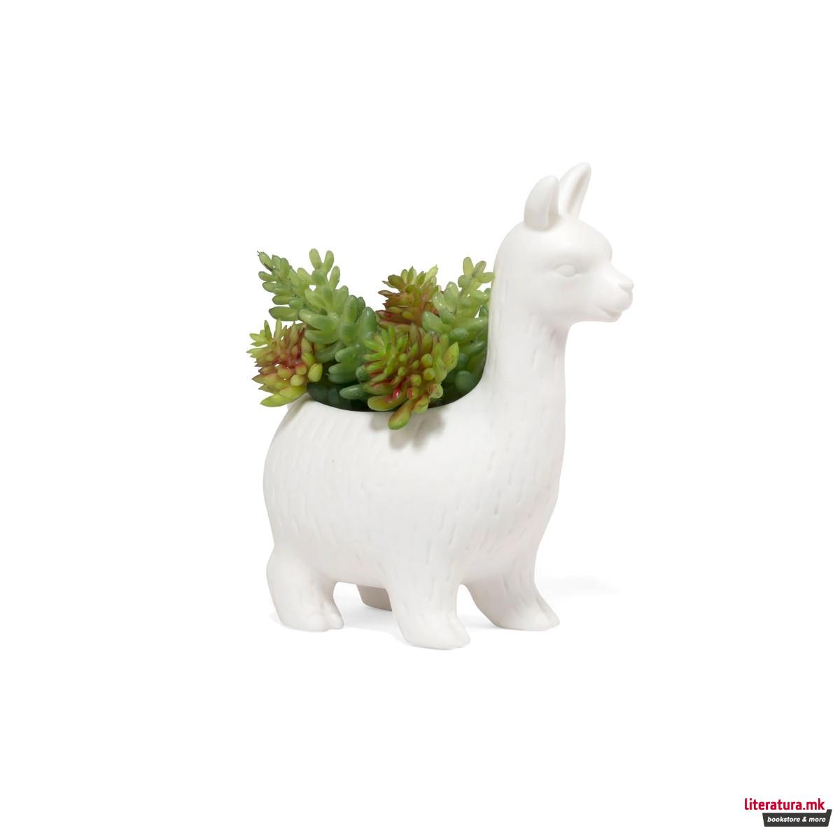Керамичка саксија, Lloyd the Llama
