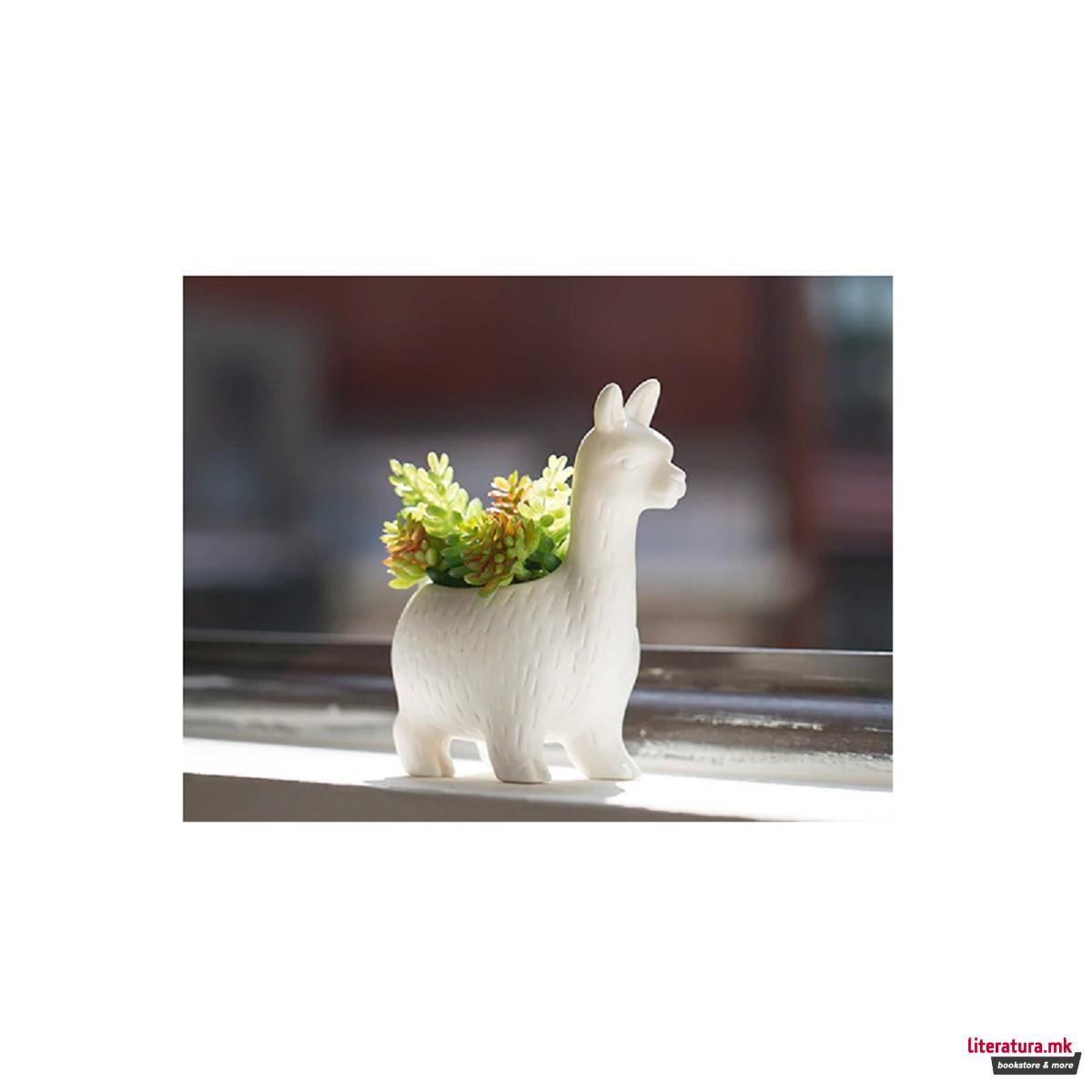 Керамичка саксија, Lloyd the Llama