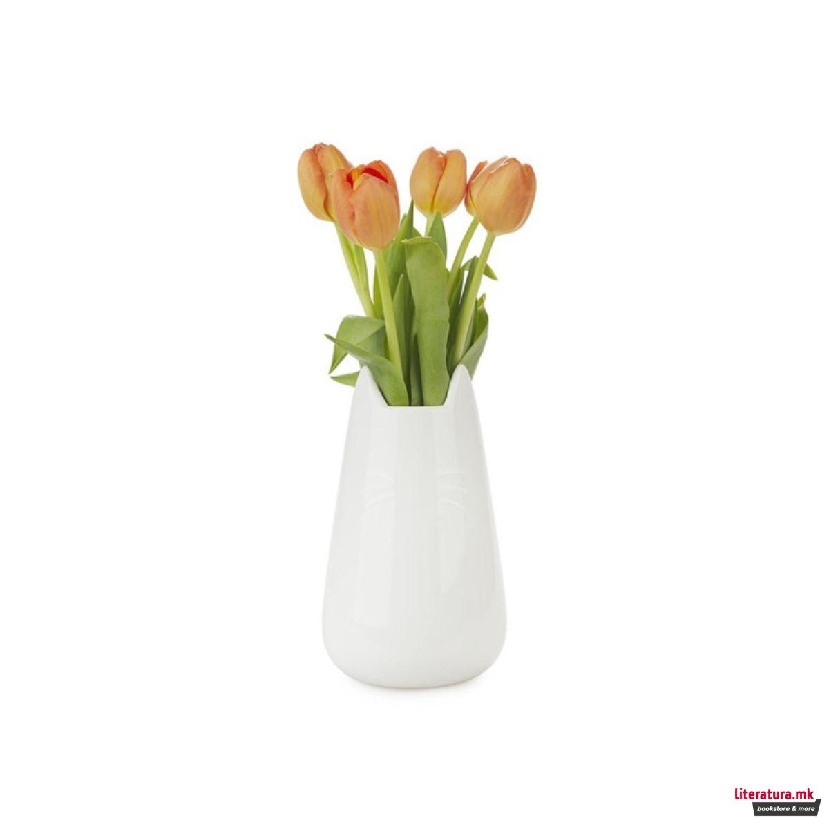 Повеќенаменски сад, Meow 