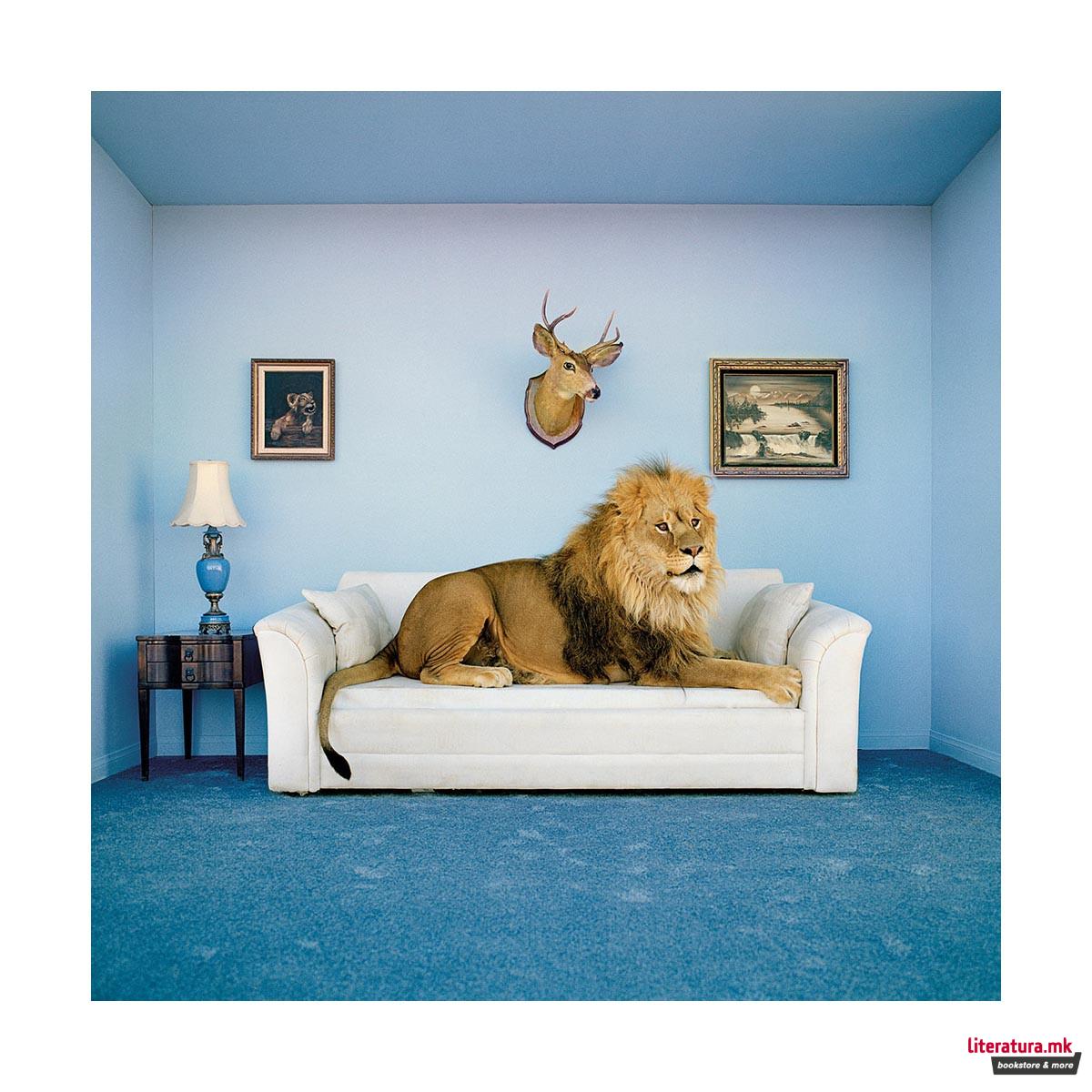 Сложувалка со рамка, Frame Me Up, 